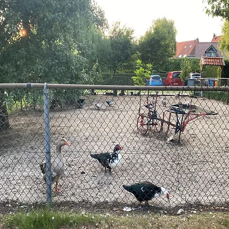Сasa de vacaciones In With Garden, Cleaning Included Bergen op Zoom