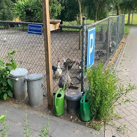 In With Garden, Cleaning Included * Bergen op Zoom