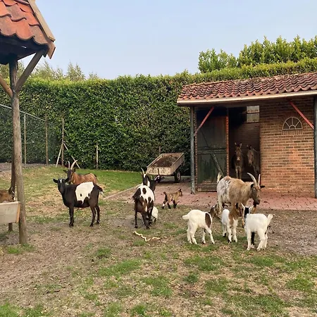 Cosy With A Garden, Cleaning Included * Bergen op Zoom