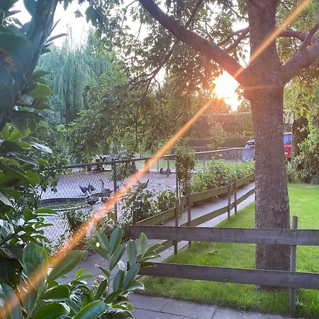 Cosy With A Garden, Cleaning Included Tatil Evi Bergen op Zoom